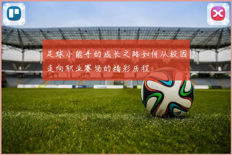 足球小能手的成长之路如何从校园走向职业赛场的精彩历程