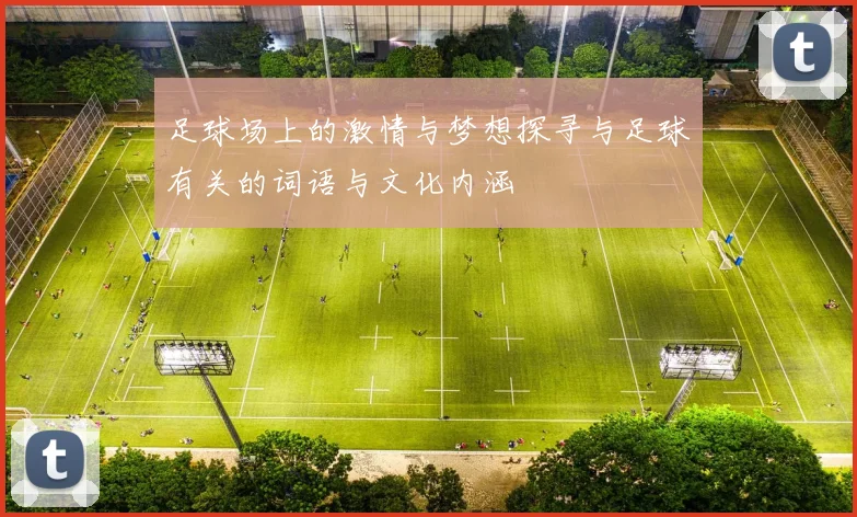 足球场上的激情与梦想探寻与足球有关的词语与文化内涵