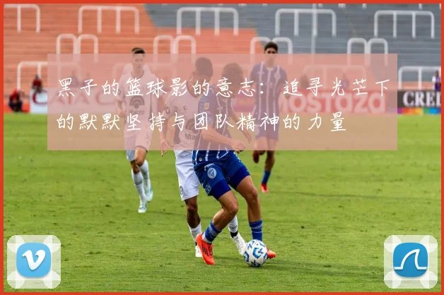 黑子的篮球影的意志：追寻光芒下的默默坚持与团队精神的力量