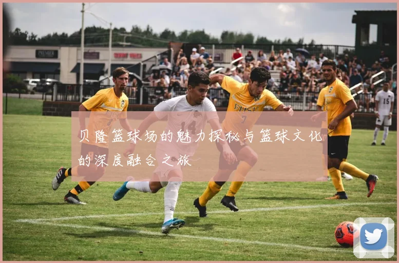 贝隆篮球场的魅力探秘与篮球文化的深度融合之旅