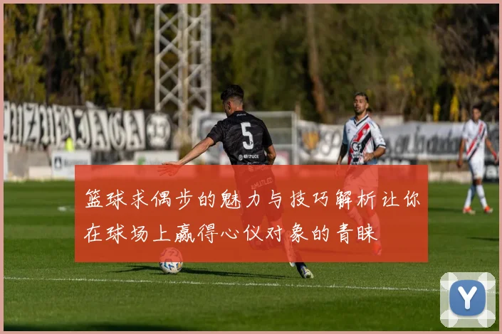篮球求偶步的魅力与技巧解析让你在球场上赢得心仪对象的青睐